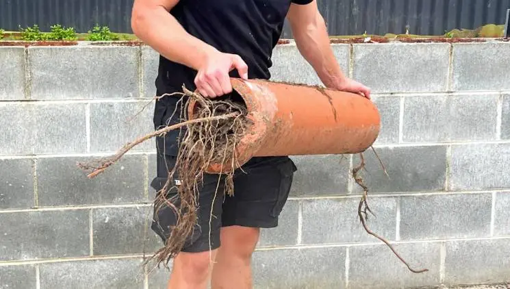 Sewer Root Removal